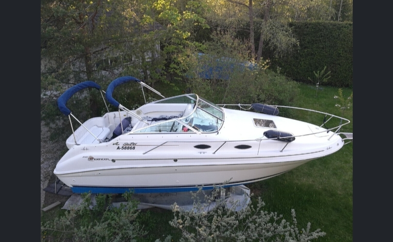 Sea Ray Sundancer-kuva-11